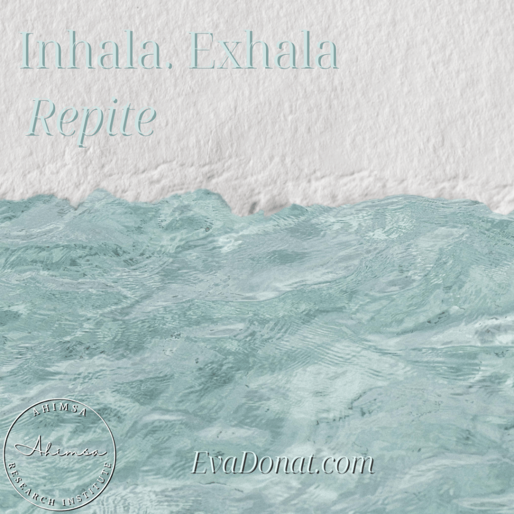 La respiración consciente puede ayudar a prevenir el&nbsp;Alzheimer