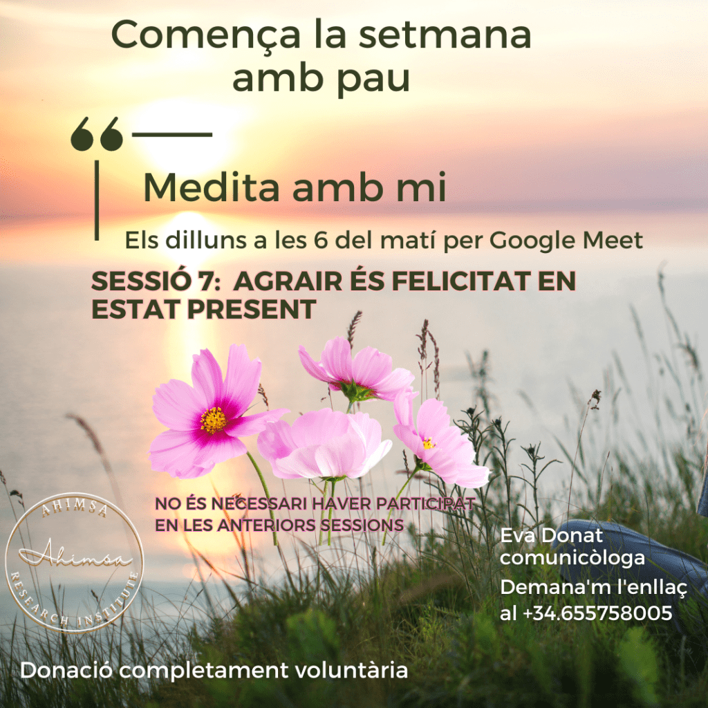 Sessió 7: Agrair és felicitat en estat&nbsp;present